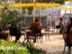 TOP 10 mejores restaurantes en Zamora restaurantes zamora baratos